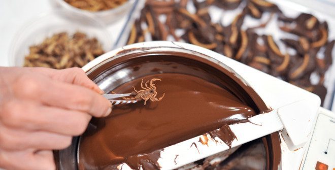 National Chocolate-Covered Insect Day
