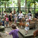 Visit the Zoo Day