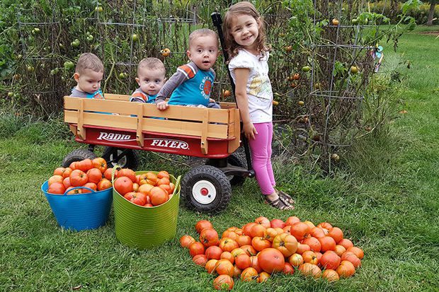 National Farm Safety Day for Kids
