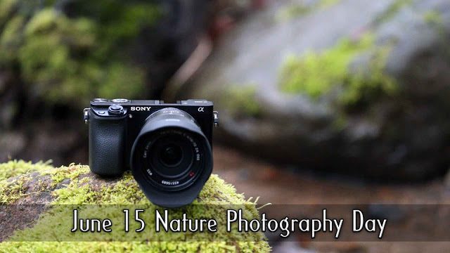 Nature Photography Day