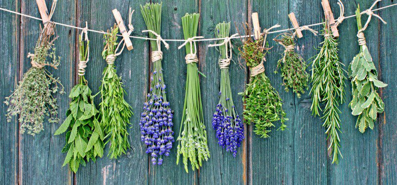 When is More Herbs, Less Salt Day This Year 
