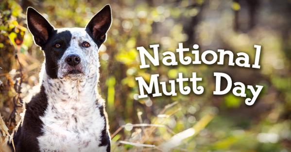 When is Mutt's Day This Year 