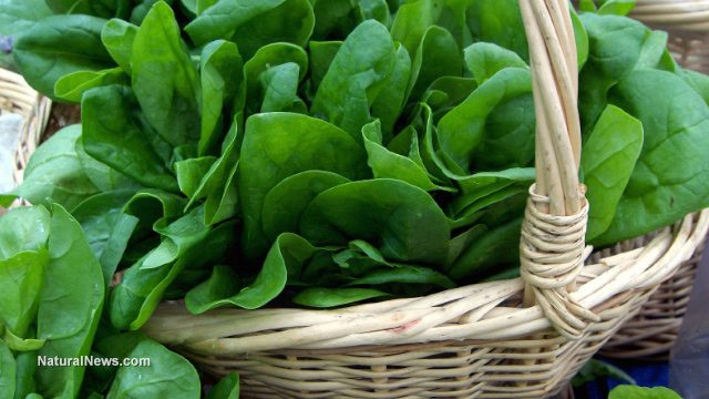 When is National Fresh Spinach Day This Year 